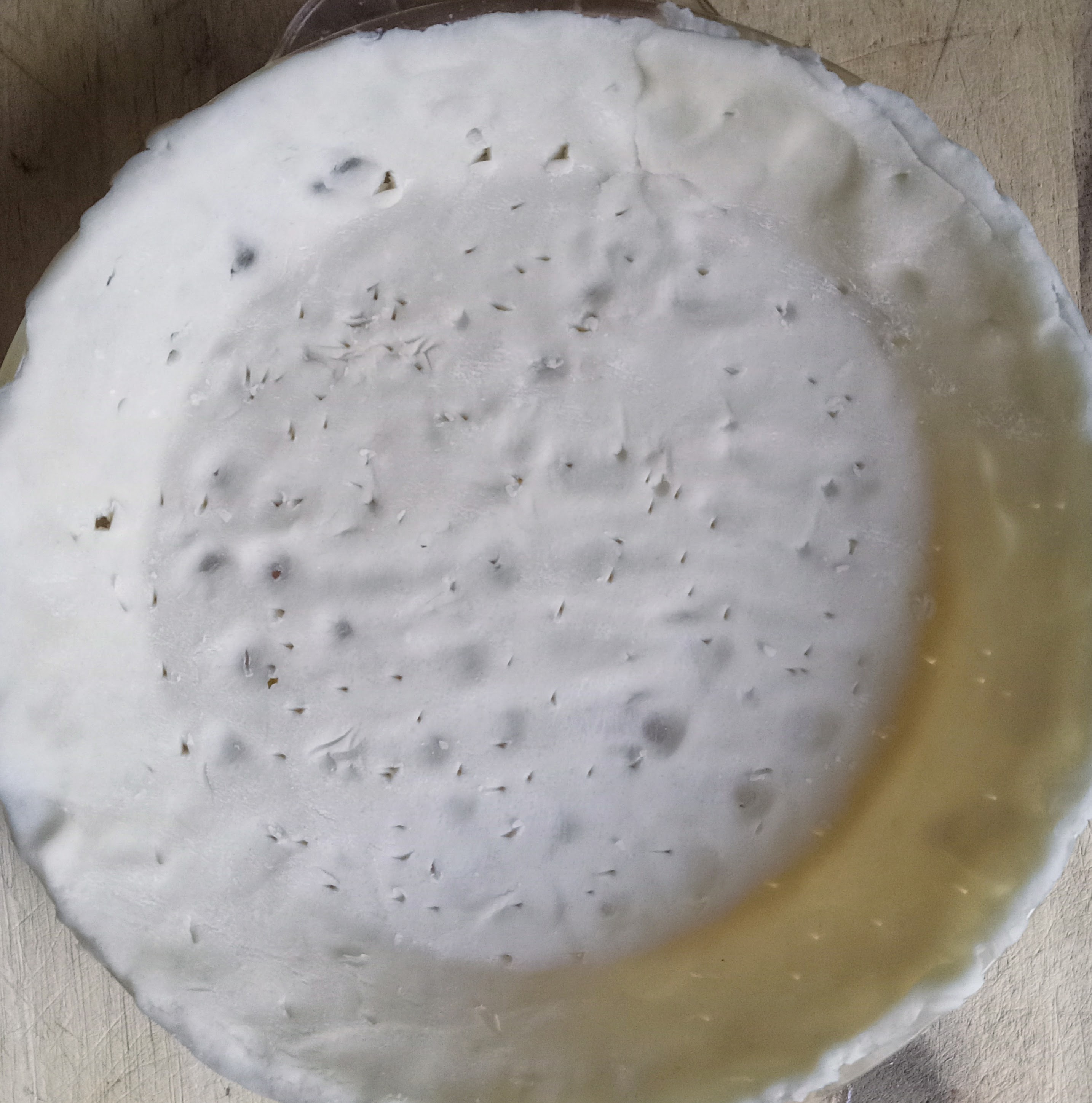 Pie crust with holes poked into the bottom